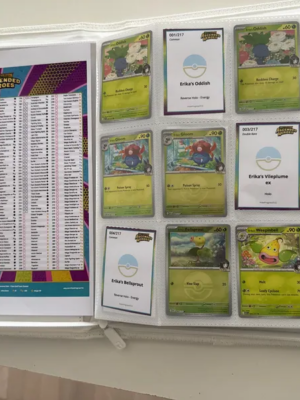 Ascended Heroes Masterset Checklist + Binder Aanduidingen